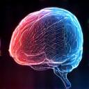 MIPS Brain Protection System icon